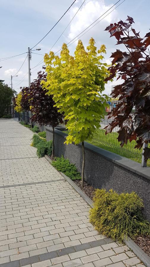 Apartament Angelo Сосновец Екстериор снимка